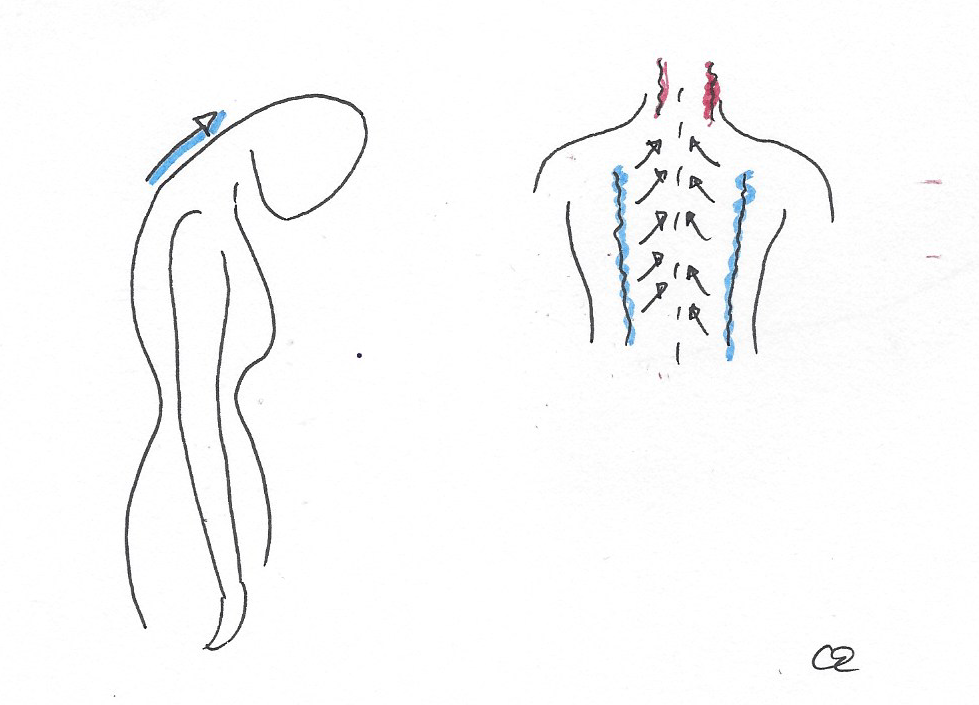 20170824 (3) spinal injury